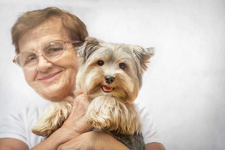 Cpd-Certified Online Animal Psychology Course - Holly And Hugo