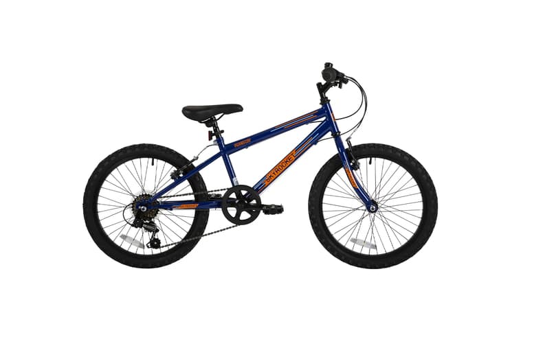 Junior Multi-Function Steel Frame Exercise Bike - 20" Wheel, Adjustable Gears, Blue/Orange