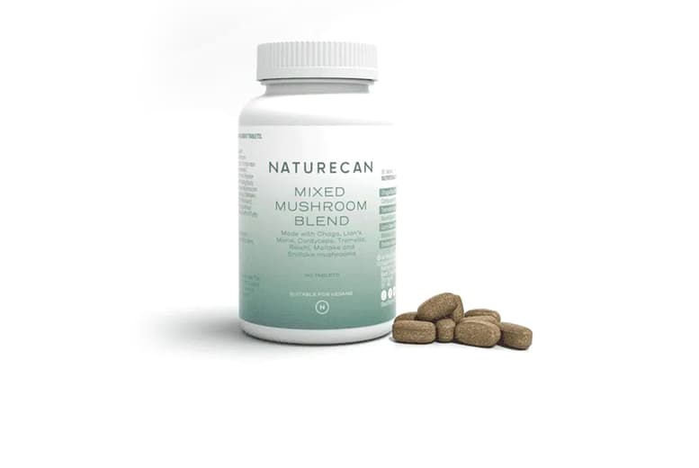 Lion'S Mane & Chaga Mushroom Supplement