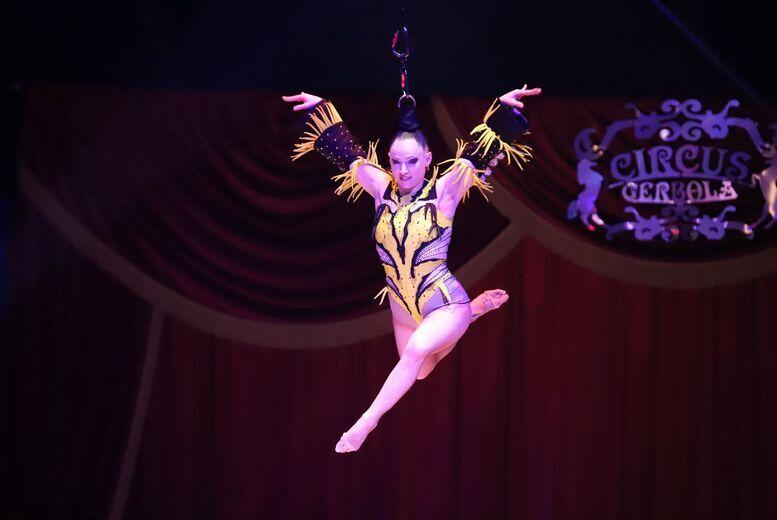Circus Gerbola Entry For Adults And Kids - Tralee - Multiple Dates