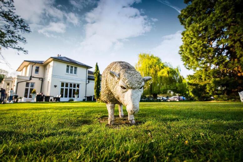 Wrexham Llyndir Hotel By Belvilla Break For 2: Late Checkout & Superior Room Upgrade Available.