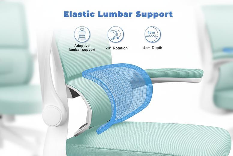 Ergonomic Swivel Chair With Dynamic Lumbar & Rocking Function