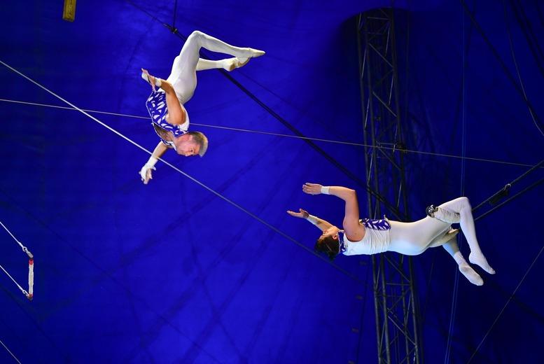 Entry Ticket To Circus Gerbola In Dublin | 1St - 12Th July