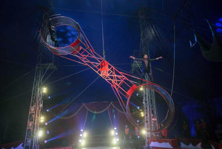 Circus Gerbola Flying High Two-Hour Family Circus Experience Tickets