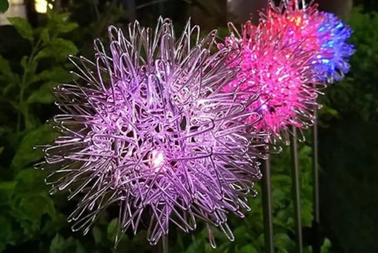 Solar Led Dandelion Path Lights - Waterproof