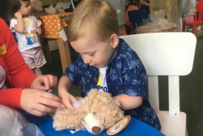 Teddy Bear Deluxe Family Experience - Rathwood Home And Garden