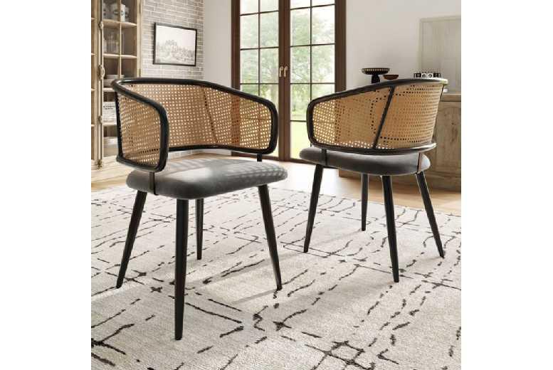 Set Of 2 Modern Rattan & Velvet Outdoor Dining Chairs - Metal Frame, Ergonomic, Minimalist Style