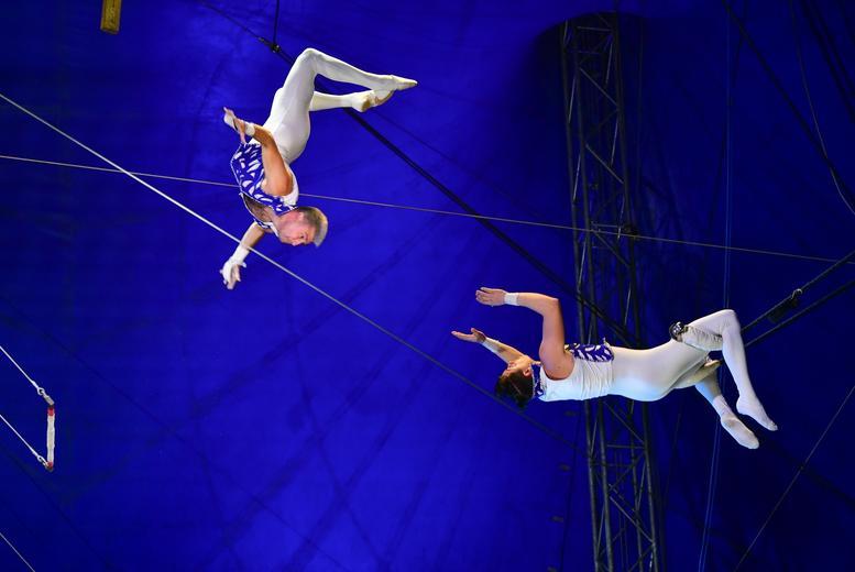 Circus Gerbola Flying High Two-Hour Family Circus Experience Tickets
